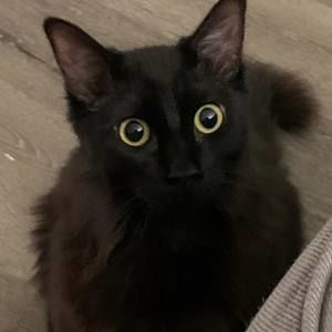 Meet your Posher, Matthew